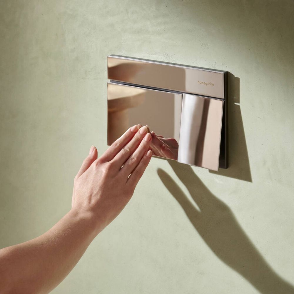 Клавиша смыва Hansgrohe iFrame Element E для двойного смыва, хром (66003000) 66003000 &mdash; фото в Esantehnika