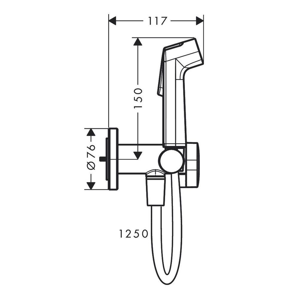 Гигиенический душ (для смешанной воды) Hansgrohe Bidette 1jet S EcoSmart+ со шлангом и держателем (цвет - шлифованный чёрный хром) 29232340 29232340 &mdash; фото в Esantehnika