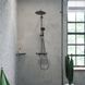 Кутова полиця Hansgrohe AddStoris, шліфований чорний хром 41741340 41741340 &mdash; фото в Esantehnika