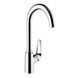 Кухонный смеситель 220, 1jet Hansgrohe Focus M42 (цвет - хром) 71802000 71802000 &mdash; фото в Esantehnika