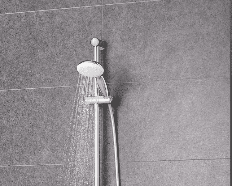 Душовий гарнітур Grohe 27924001 New Tempesta 100 27924001 &mdash; фото в Esantehnika