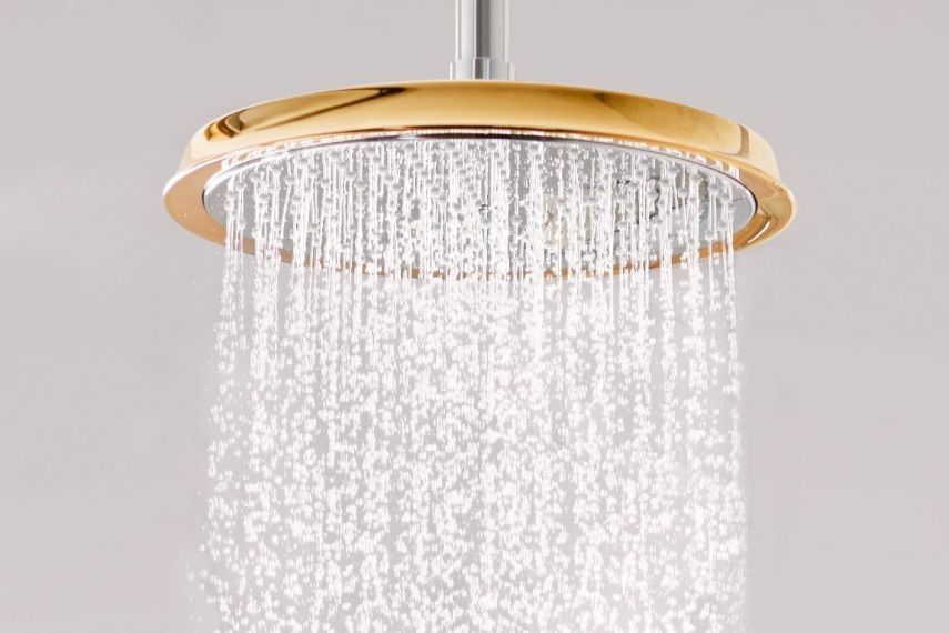 Верхний душ с тропическим душем Hansgrohe Raindance Classic AIR хром/золото 27424090 27424090 &mdash; фото в Esantehnika