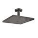 Верхний душ с тропическим душем Hansgrohe Raindance E 300 мм (цвет - черный) 26250340 26250340 &mdash; фото в Esantehnika