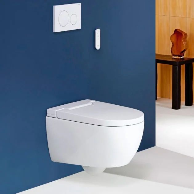 Підвісний унітаз-біде Geberit AquaClean Alba (білий KeraTect) 146.350.01.1 146.350.01.1 &mdash; фото в Esantehnika