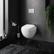 Унітаз підвісний AM PM Sensation FlashClean C301700WH із сидінням Sof Close C307851WH C301700WH+C307851WH &mdash; фото в Esantehnika