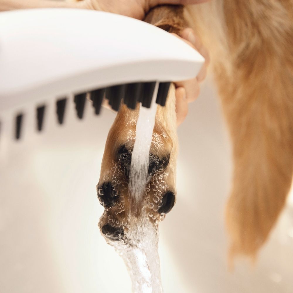 Ручний душ для собак 150 3jet, з масажним струменем Hansgrohe DogShower (колір - білий матовий) 26640700 26640700 &mdash; фото в Esantehnika
