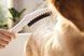 Ручний душ для собак 150 3jet, з масажним струменем Hansgrohe DogShower (колір - білий матовий) 26640700 26640700 &mdash; фото в Esantehnika