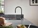 Вбудована кухонна мийка Hansgrohe S51 S510-F660 (колір - чорний графіт) 660 43313170 43313170 &mdash; фото в Esantehnika