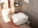 Ёршик подвесной Hansgrohe AddStoris, хром/стекло матовое 41752000 41752000 &mdash; фото в Esantehnika