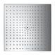 Верхний душ с тропическим душем Hansgrohe Raindance E 1jet EcoSmart 26239000 26239000 &mdash; фото в Esantehnika